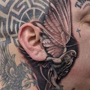 Meet your Posher, Jeffrey